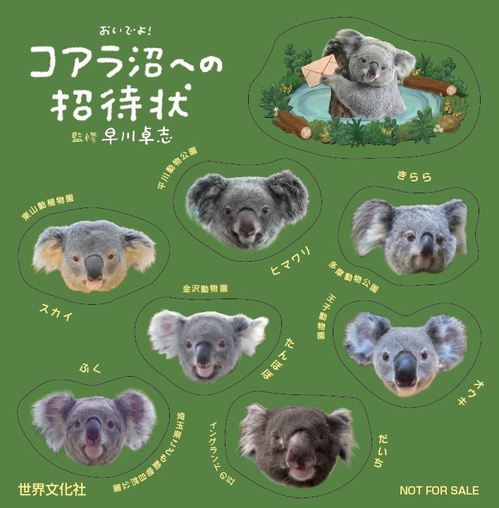 スクリーンショット 2026-03-02 151453.jpg